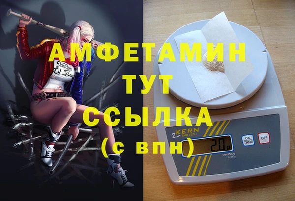 мдпв Заводоуковск