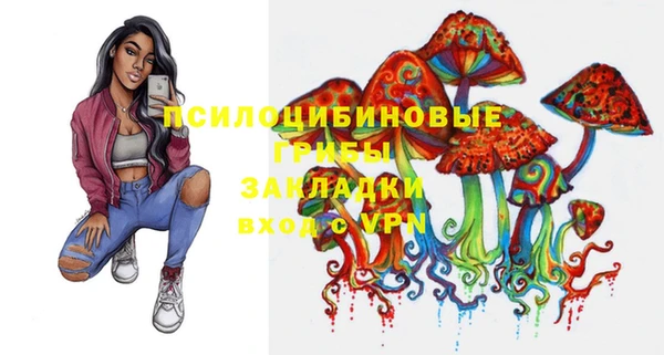 мдпв Заводоуковск